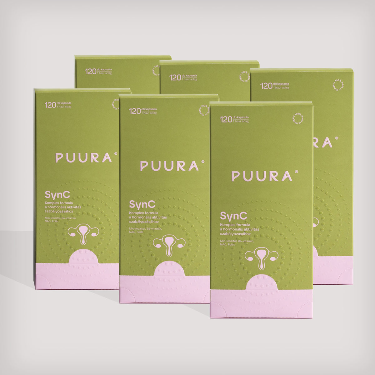 PUURA SynC – 6 havi rutin